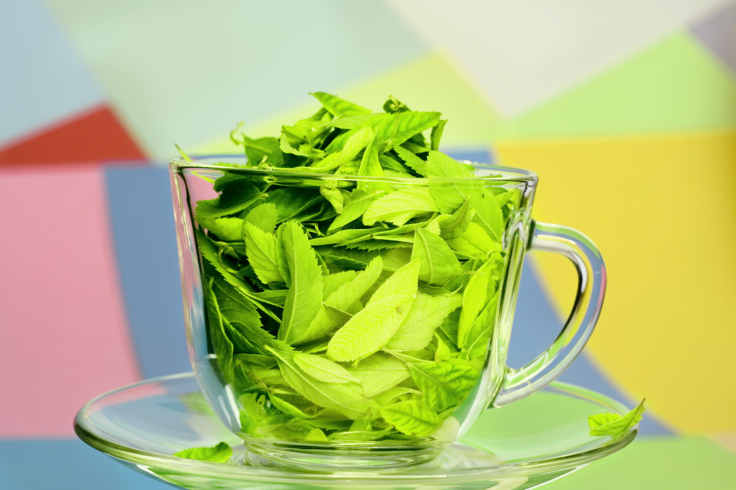 Как приготовить зеленый чай. Греен Теа чай. Зеленый ча1. Салатовый чай. Зеленый чай Green food.