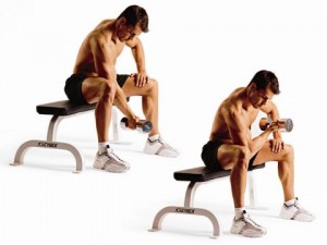 Концентрированное сгибание рук