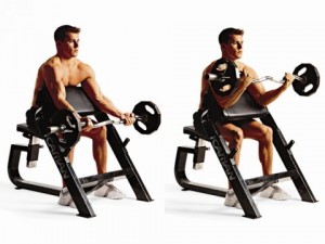 Сгибание рук на скамье Скотта